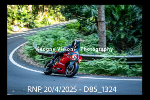 Web-019