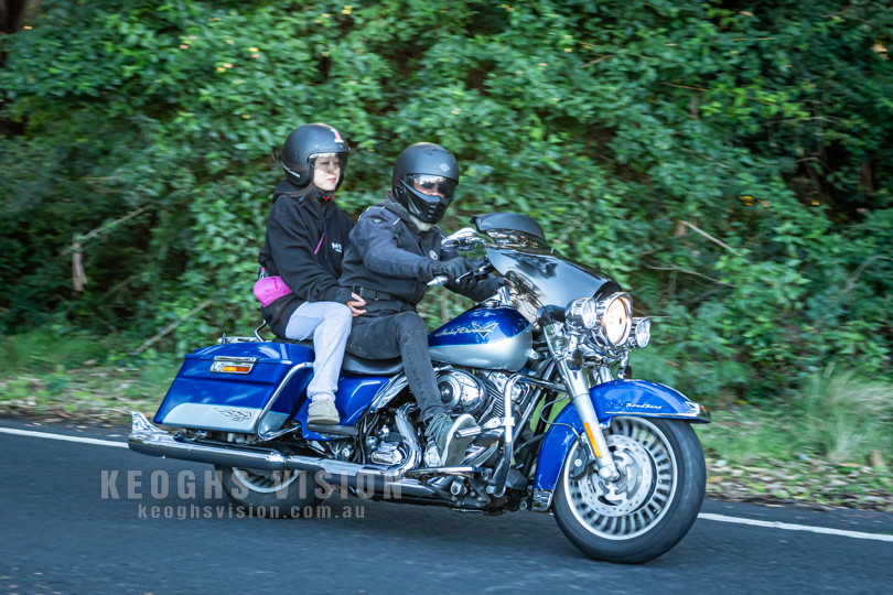 Harley Davidson in the Royal National Park