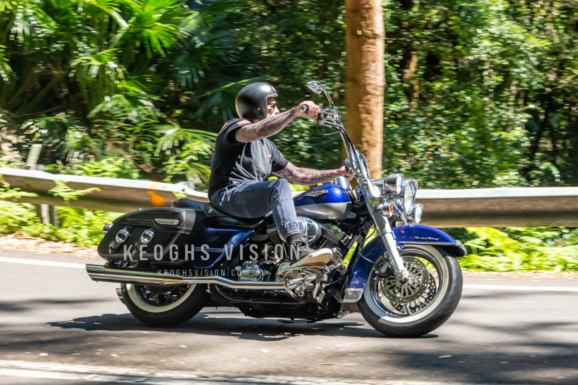 Harley Davidson in the Royal National Park