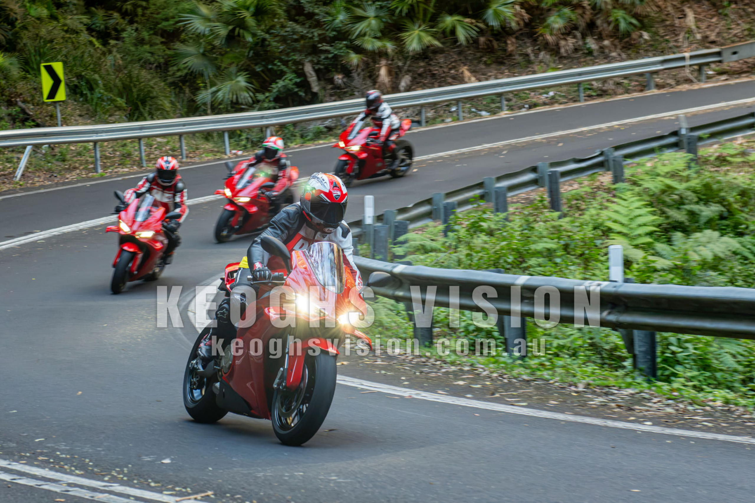 4 Panigales all in a row in the Royal National Park