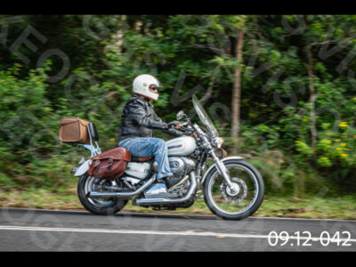 Vehicle photo from Royal National Park NSW on 22 March 2026